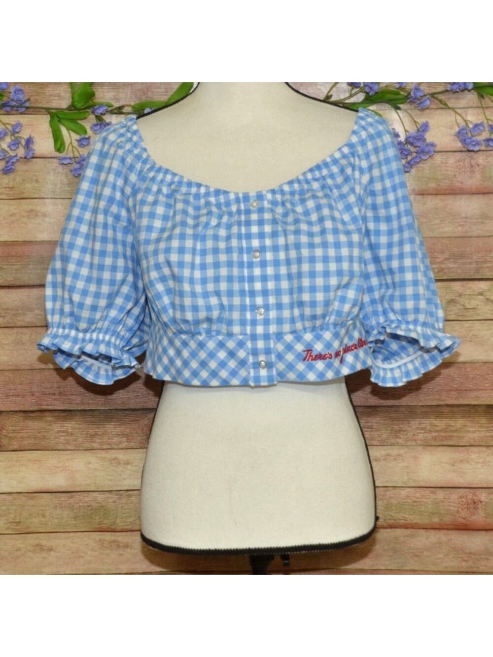 NWT Torrid Size 1 1X 16W Blue Gingham Wizard Of Oz Puff Sleeve Crop Top Coquette
